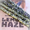 LEmon Haze (2).webp