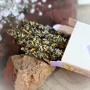 Palo Santo & Lavande (2).webp