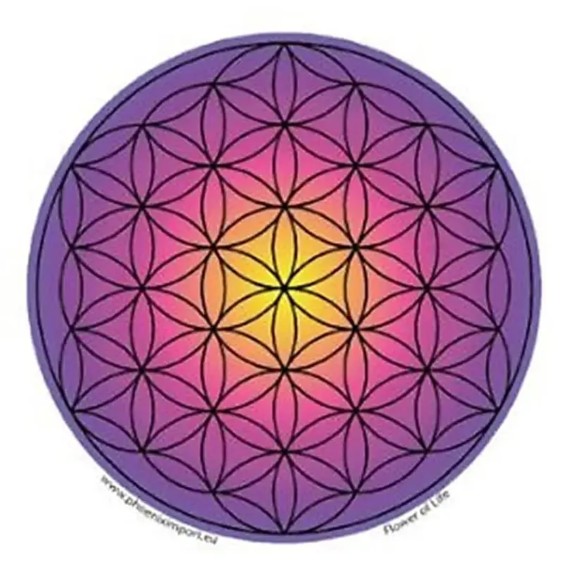 Adhésif verre/fenêtre Fleur de vie  