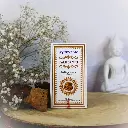 Cônes d'encens Ayurvédiques à reflux  - Palo Santo