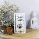 Cônes d'encens à reflux ayurvédiques - Sauge blanche