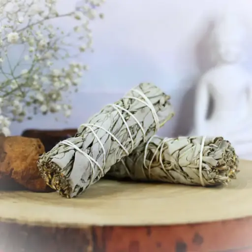 [TA-0039] White Sage