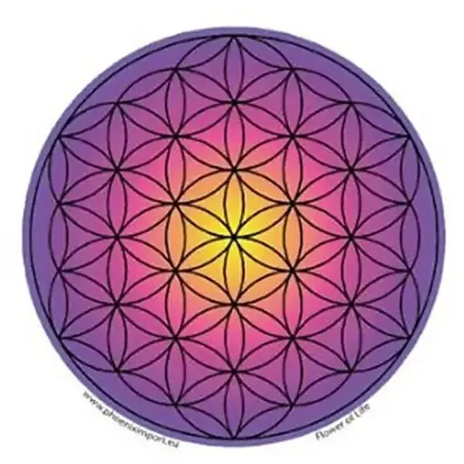 Adhésif verre/fenêtre Fleur de vie  